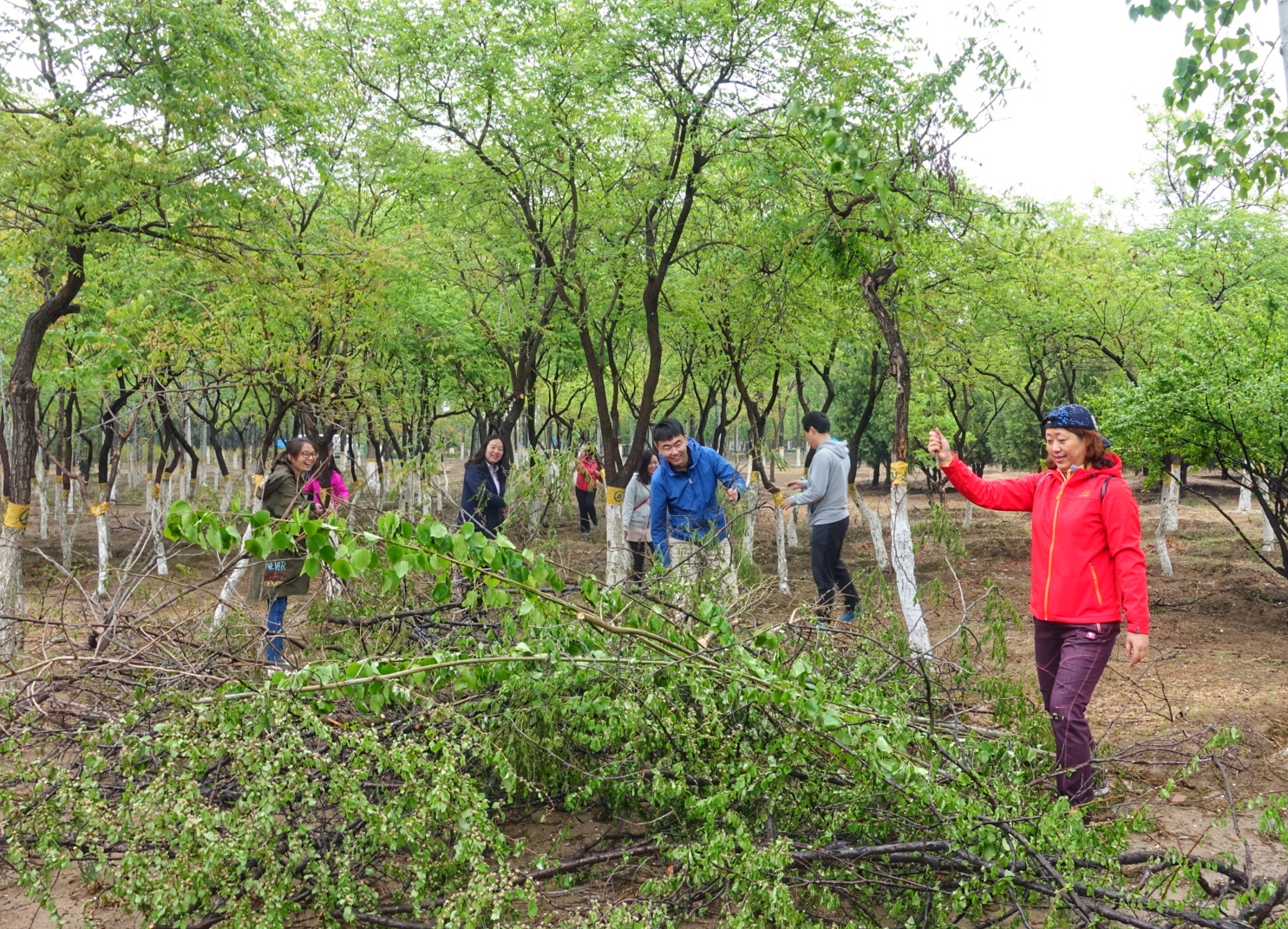 bbin·宝盈(中国集团)官方网站