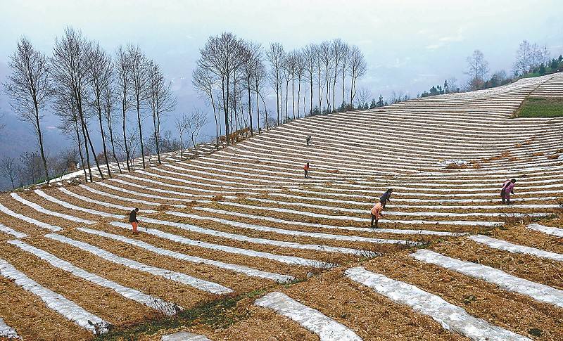 bbin·宝盈(中国集团)官方网站